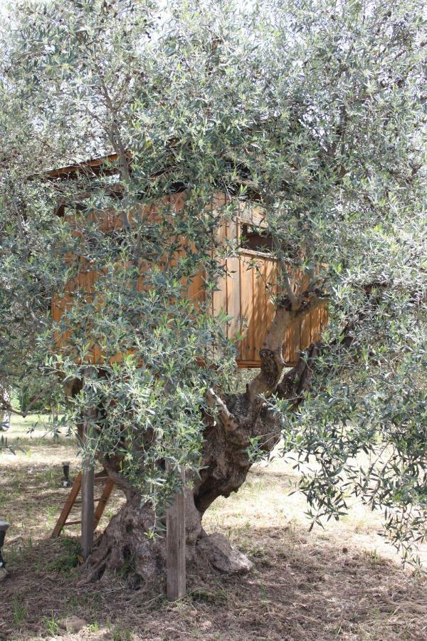 Mercouri Stone Cottage Korakochori Exterior photo